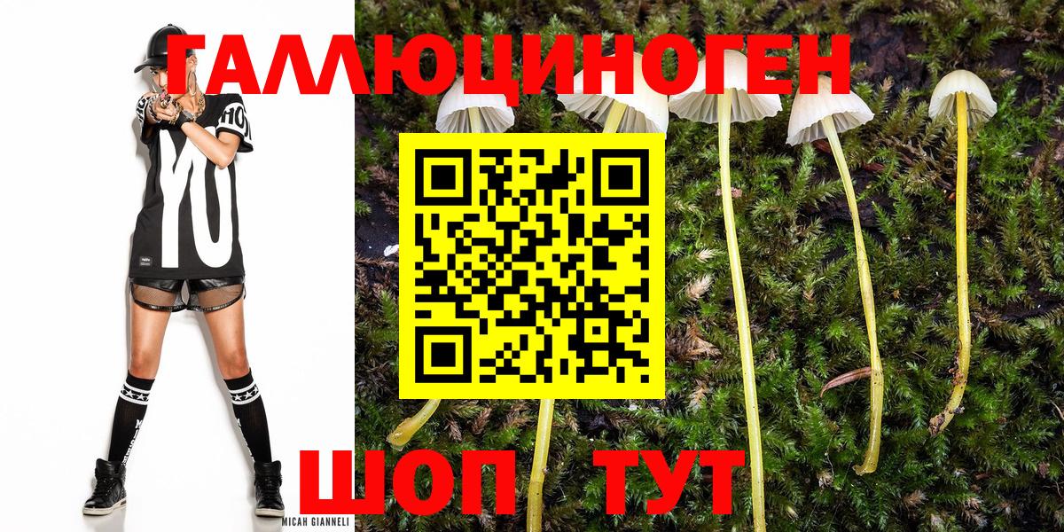 Рассказово  купить  сайты  Вход с VPN  Псилоцибиновые грибы GOLDEN TEACHER 