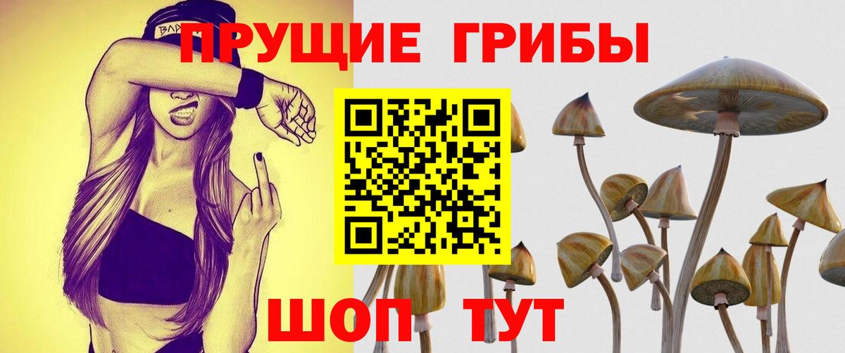 Псилоцибиновые грибы мицелий Рассказово